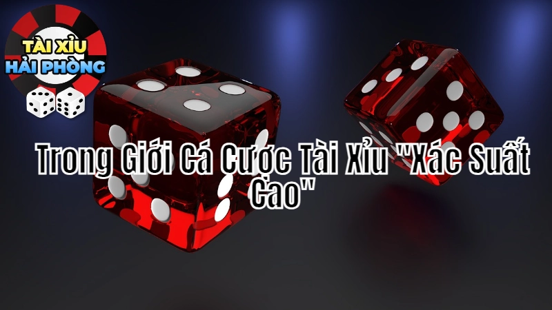 Trong Giới Cá Cược Tài Xỉu "Xác Suất Cao": Cách Đặt Cược Để Đạt Lợi Nhuận 2024