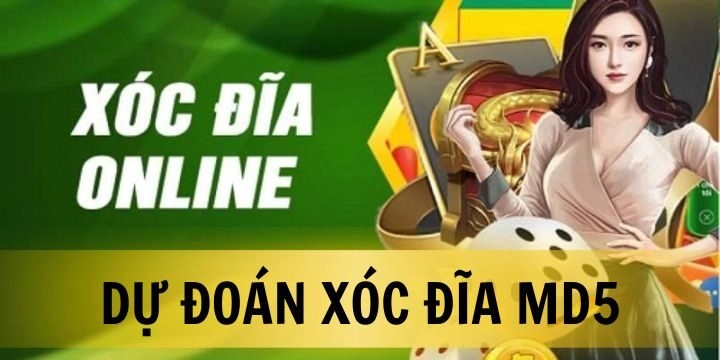 Những Chiến Thuật Dự Đoán Hiệu Quả Trong Xóc Đĩa MD5